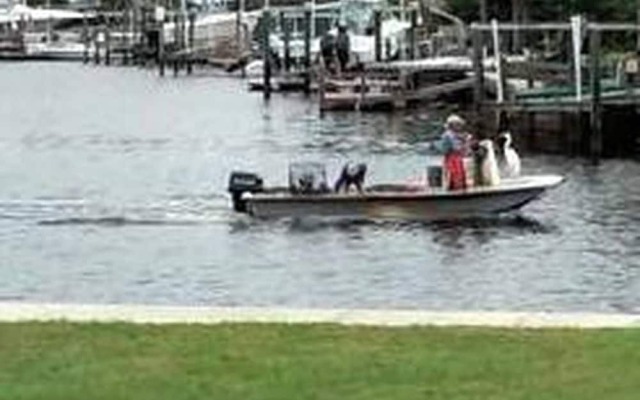 The Keys Bungalow On The Cotee River