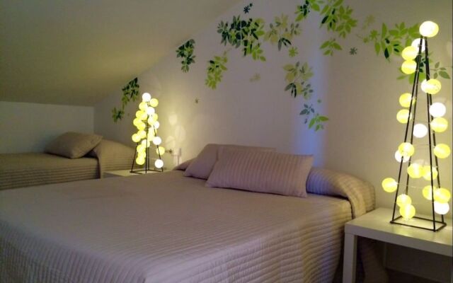 Rainbow Home Coll Roig