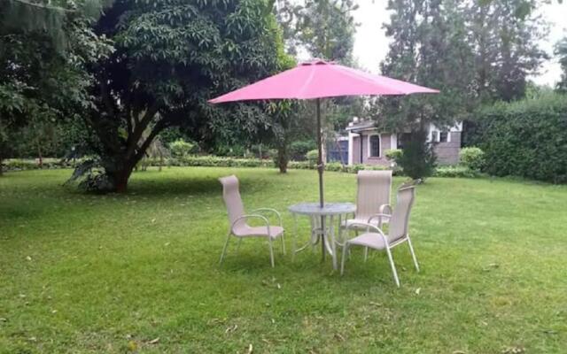 Muthaiga North Studio House