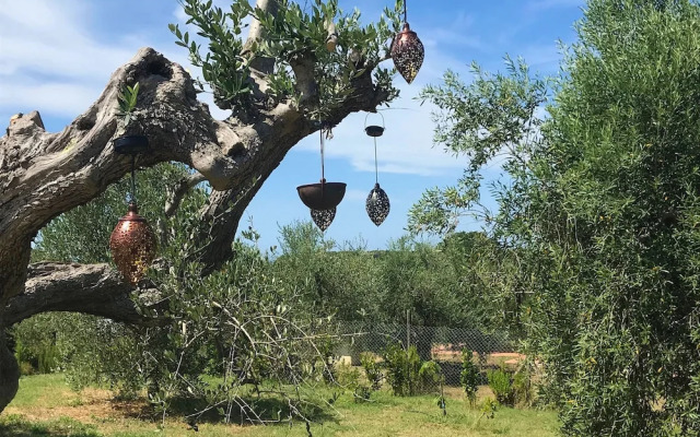 Villa Bibbona in Bibbona