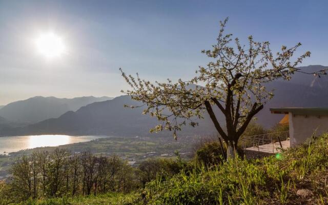 Alveare sul lago