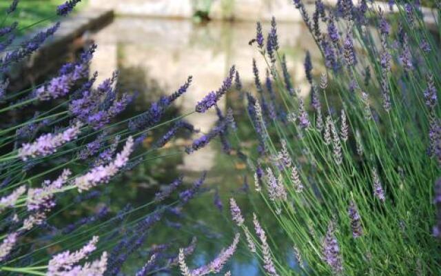 Château de Servanes