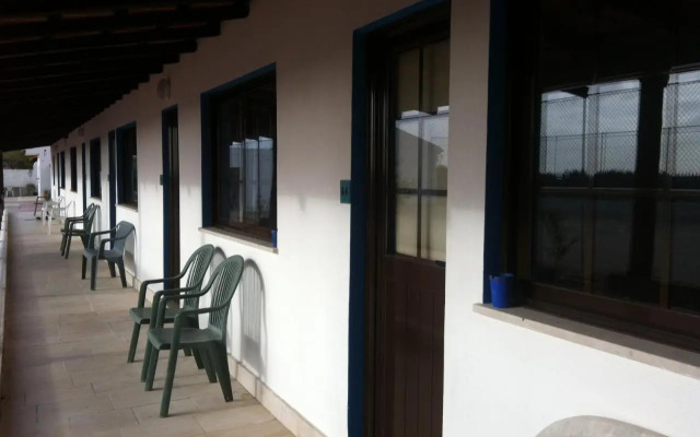 Alentejo Pig dog surf camp