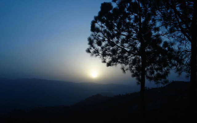 Woodsvilla Residency Ranikhet
