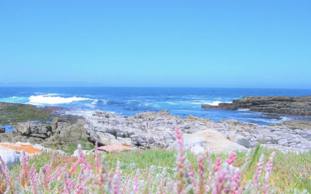 Whale View Guest House