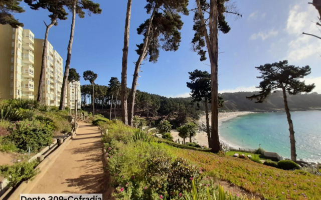 Pinares del Canelillo