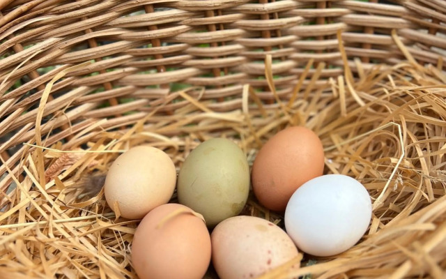 Ron De Mar #3 modern room