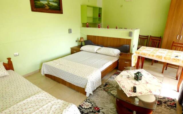 Studio in Berat, with Wonderful Mountain View, Enclosed Garden And Wifi - 107 Km From the Beach