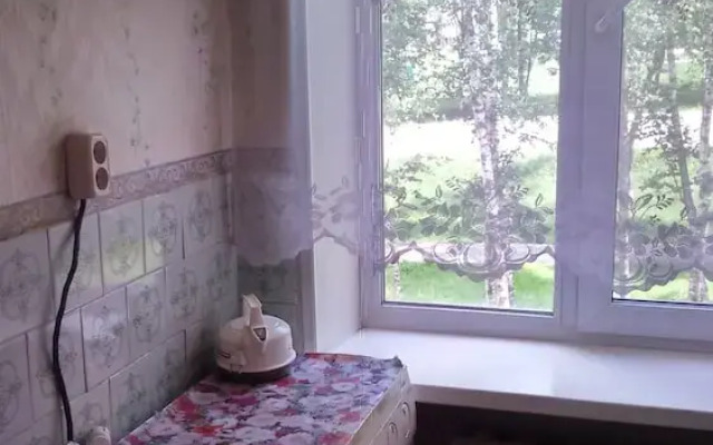 Apartment Kirova 59