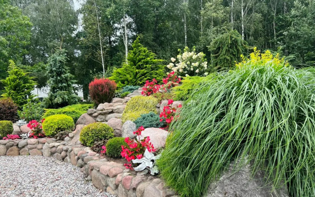 Vėjukai