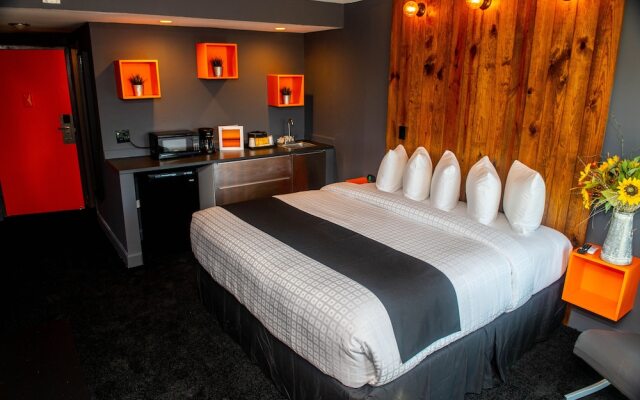 Uptown Hotel St Pete