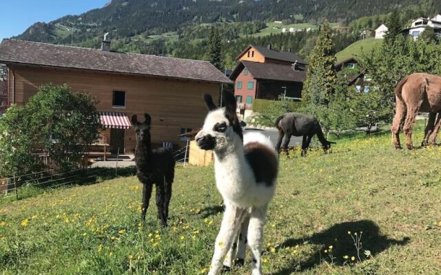 Jurte beim Lama- & Alpakahof Triesenberg