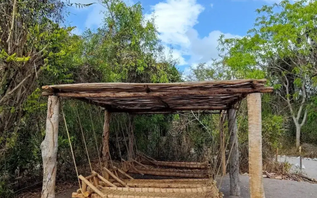 Room-mida Creek Eco Camp - Lodge