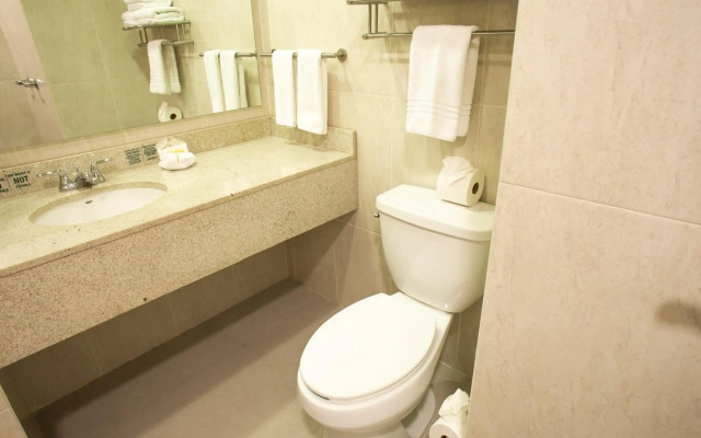 Hotel Plaza Calzada