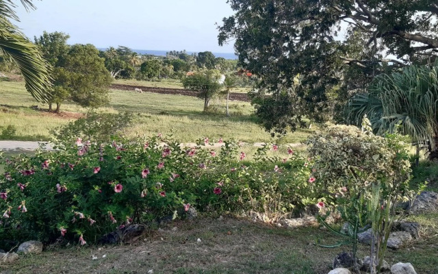 Résidence Kaya - Location meublée tout confort à Marie-Galante