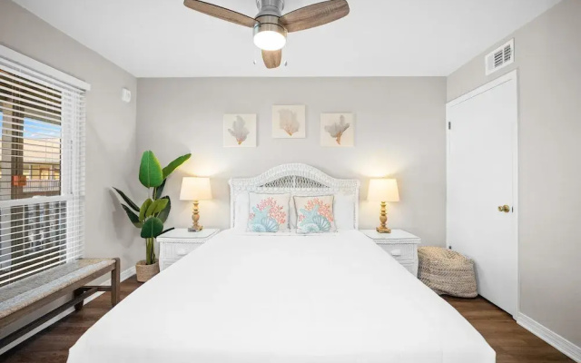 The Cove 205b