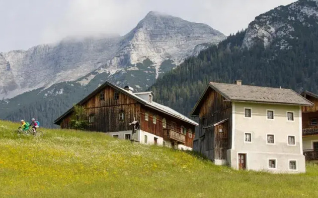 Mesnerhof-C | Tirol