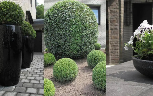 Messeapartment Stockum