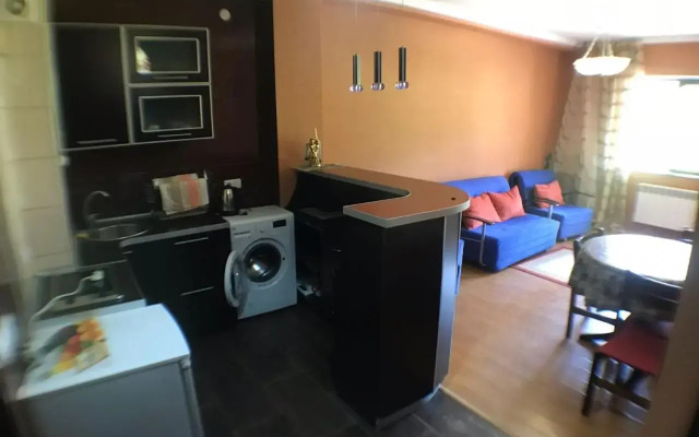 Bakuriani Hills Apartment