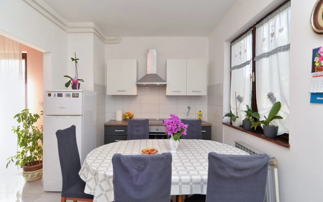 Apartment 1956