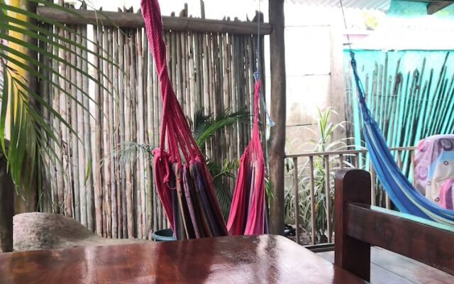 Cabinas Tortuguero