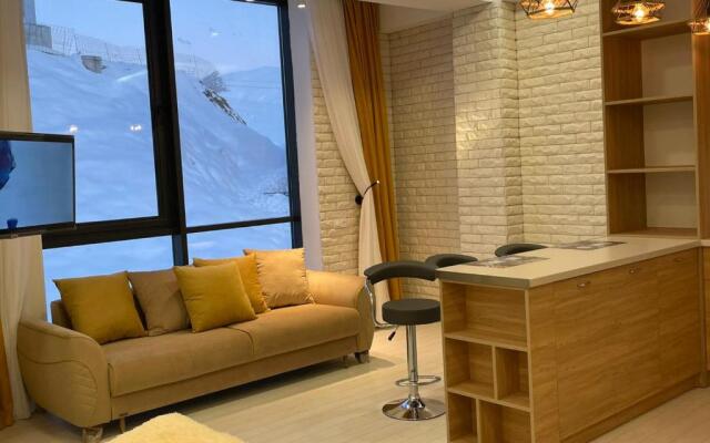 Gudauri Winter House
