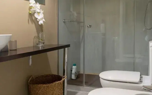 Carrera Luxury Olympia