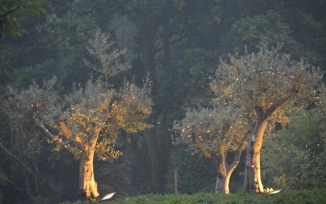 Haras des Chartreux