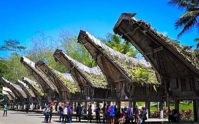 Wisma Papa Tia Toraja