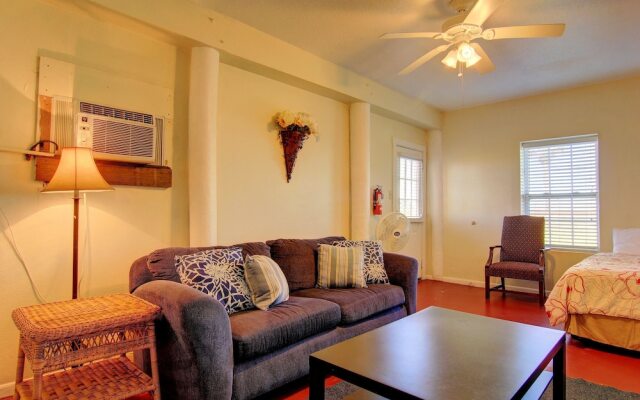 Happy Starfish LCV36