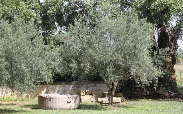 Mas de St Remy Maison de Maitre