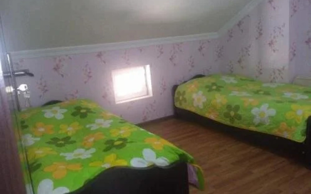 B&B Tamari