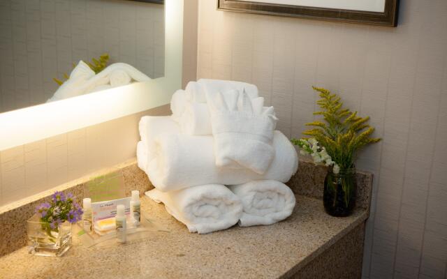 Holiday Inn Greenville by IHG