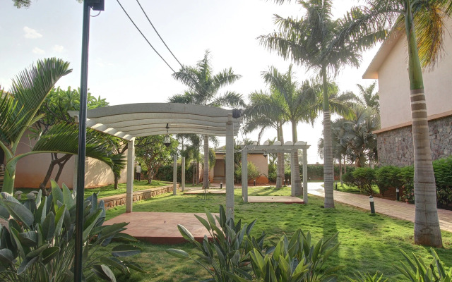 Palette - Krishna Heritage