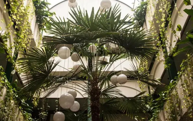 Hotel Universal