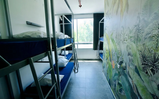 Jungle Jaffa Hostel Age 18 to 45