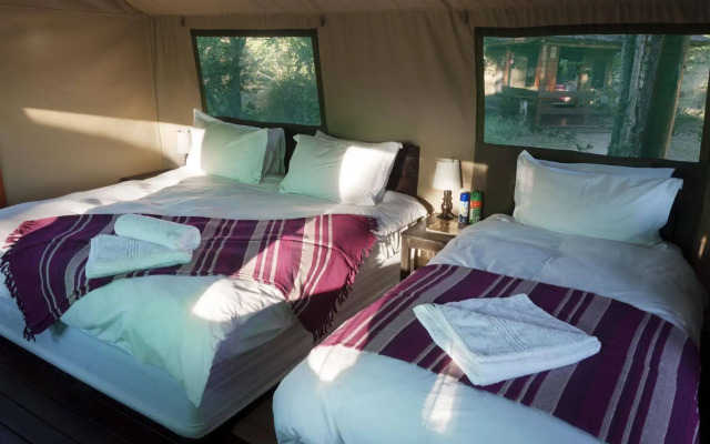 Shindzela Tented Safari Camp