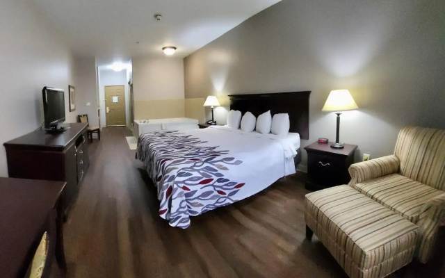 Red Roof Inn & Suites Midland