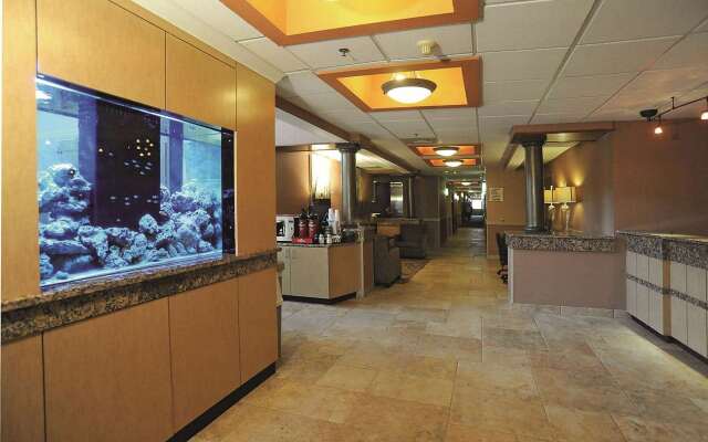 La Quinta Inn & Suites by Wyndham Springfield South