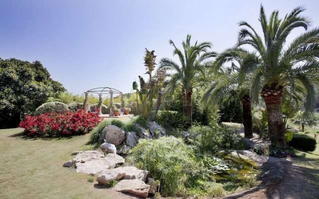 Hotel Palmira Paradise & Suites