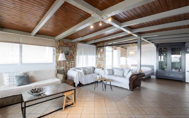 Sunny Loft With a Panoramic View