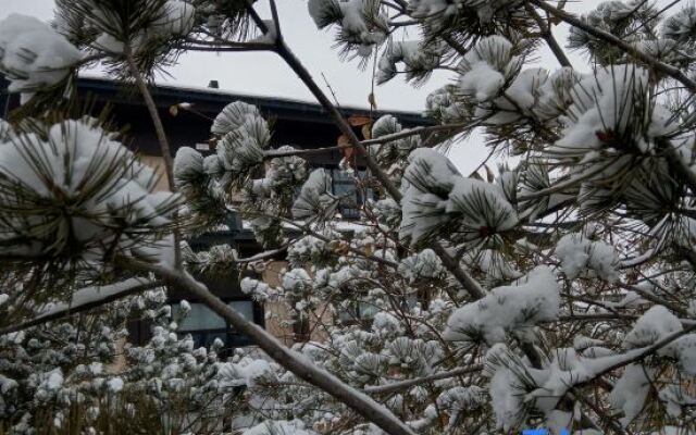 Xiong'an Country Park Hotel