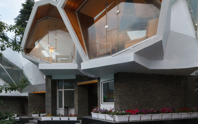 Tree of Life Eila Art Hotel