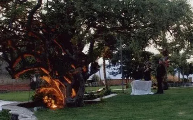 Jardin de la Abundancia