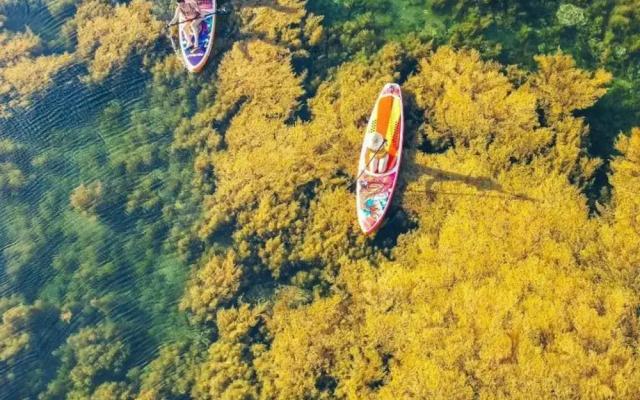 Xavia Hotel Quy Nhon