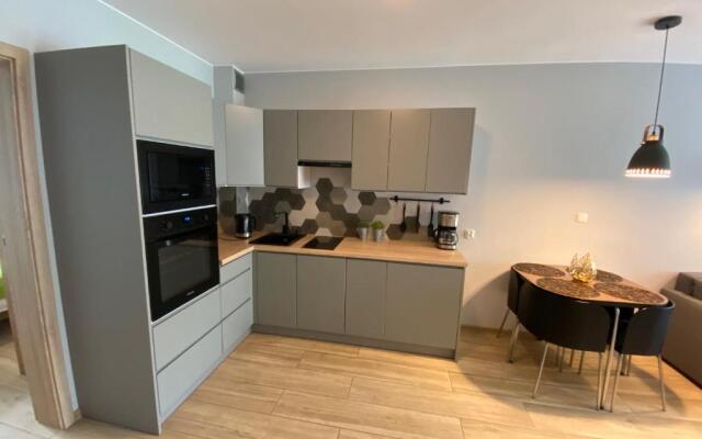 Green Apart Mountain Szczyrk Bratków 10E