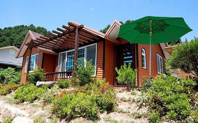 Seasonal Sky Pension