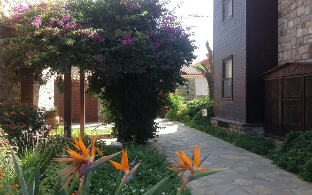 Luna Begonvil Tas Evler