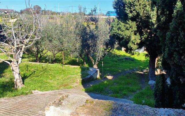 Residenza Cavalluccio Marino-CAVALLUCCIO MARINO