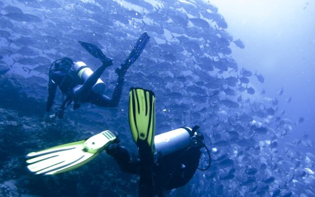 Dive Point Alcoy